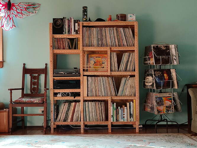 a-record-shelf-1