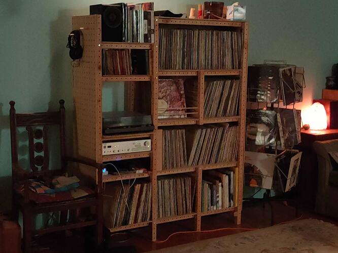a-record-shelf-9